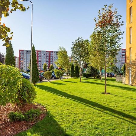 Apartment Richy Brașov Exterior foto
