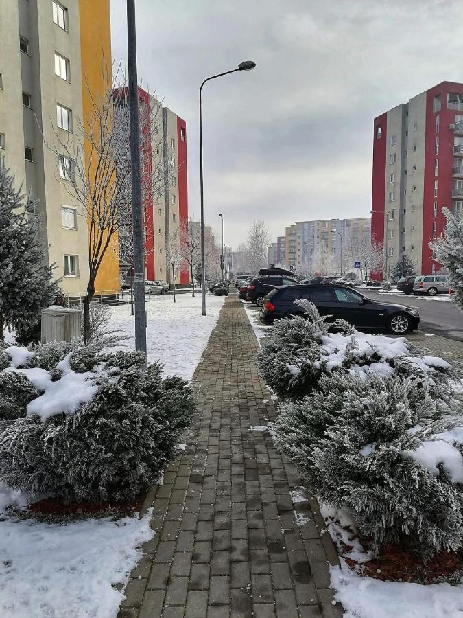 Apartment Richy Brașov Exterior foto